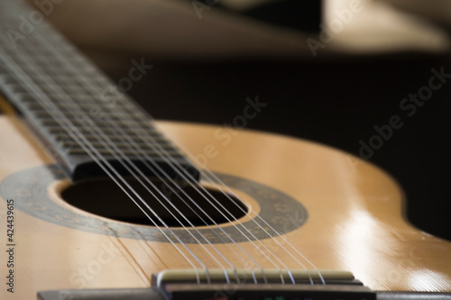 viola caipira Brazlian  folk guitar with ten strings 
in close
 photo