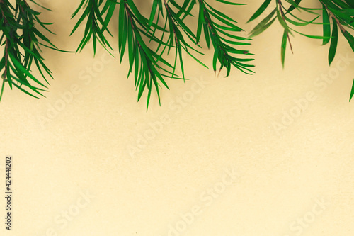 Dried leafs and leaves border composition with place for your text, spring and summer background concept with copy space