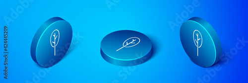 Isometric Spinach icon isolated on blue background. Blue circle button. Vector