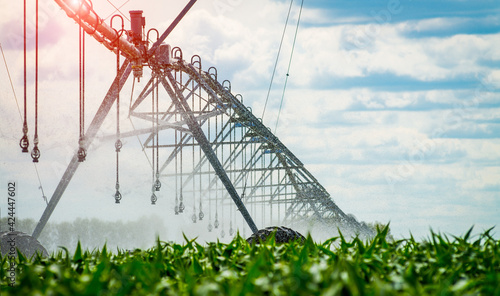 Fotografi An irrigation pivot watering a field, beautiful view