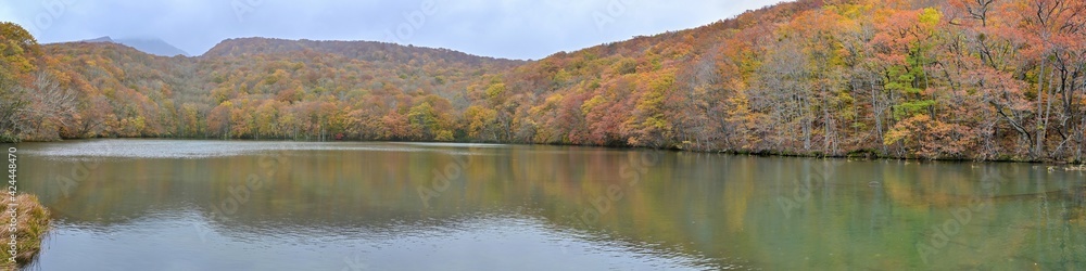 晩秋の蔦沼のパノラマ紅葉情景@青森 晩秋の蔦沼のパノラマ紅葉情景@青森