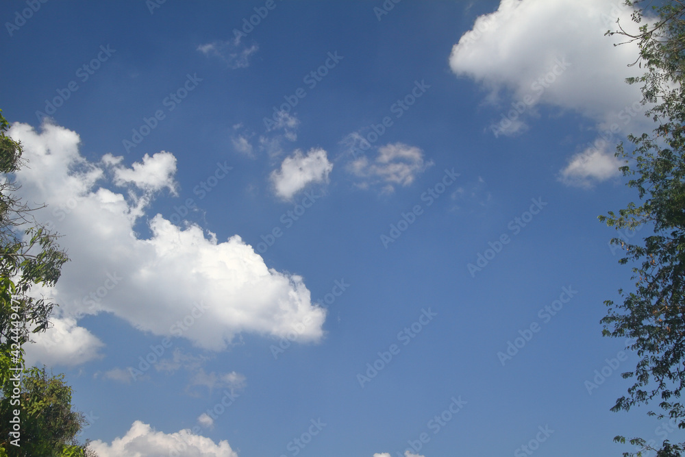 blue sky and white clouds nature background framed by trees on the side blue sky and white clouds nature background framed by trees on the side