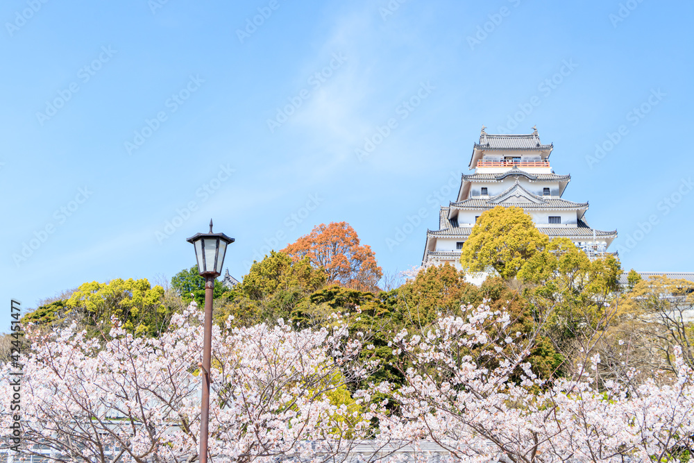 桜と唐津城 佐賀県唐津市 Cherry Blossoms and Karatsu castle Saga-ken Karatsu city 桜と唐津城 佐賀県唐津市 Cherry Blossoms and Karatsu castle Saga-ken Karatsu city