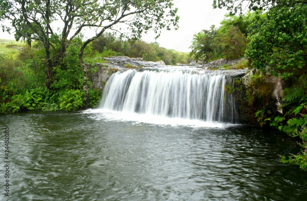 waterfall in the forest