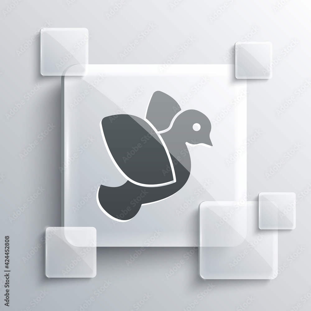 Grey Dove icon isolated on grey background. Square glass panels. Vector Grey Dove icon isolated on grey background. Square glass panels. Vector
