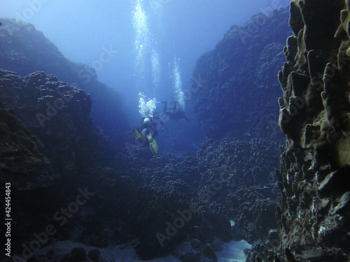 Mergulhando pelo canyon