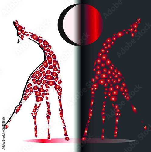 Canvas Print giraffes ,dark and light