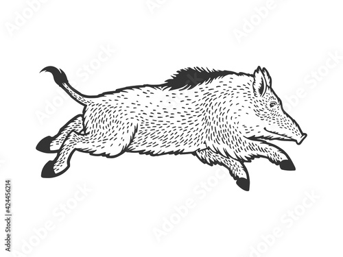 Running wild boar sketch engraving vector illustration. T-shirt apparel print design. Scratch board imitation. Black and white hand drawn image.