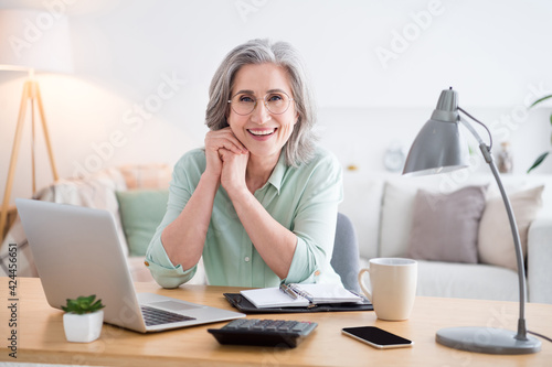 Portrait of pretty friendly person sit behind desktop arms on cheek beaming smile look camera home indoors