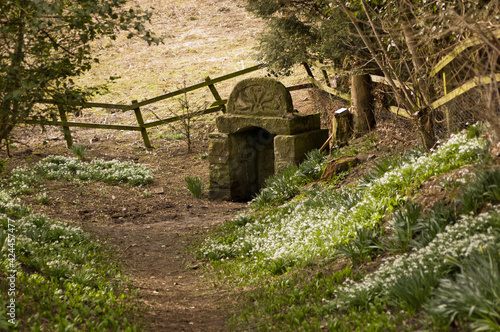 Tableau sur toile Ancient pagan Well, Newbury