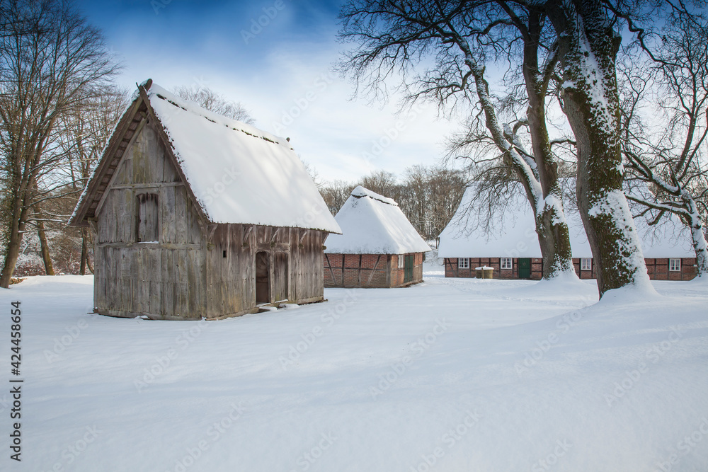 Half-timbered houses in Wilsede, Lueneburg Heath Nature Reserve in freshly fallen snow, (Calluna vulgaris) Lueneburg Heath, Lower Saxony, Germany, Europe Half-timbered houses in Wilsede, Lueneburg Heath Nature Reserve in freshly fallen snow, (Calluna vulgaris) Lueneburg Heath, Lower Saxony, Germany, Europe