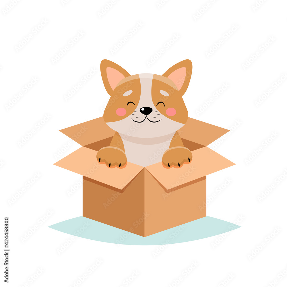 Adopt a pet - cute dog in a box, isolated on white background - obrazy, fototapety, plakaty 