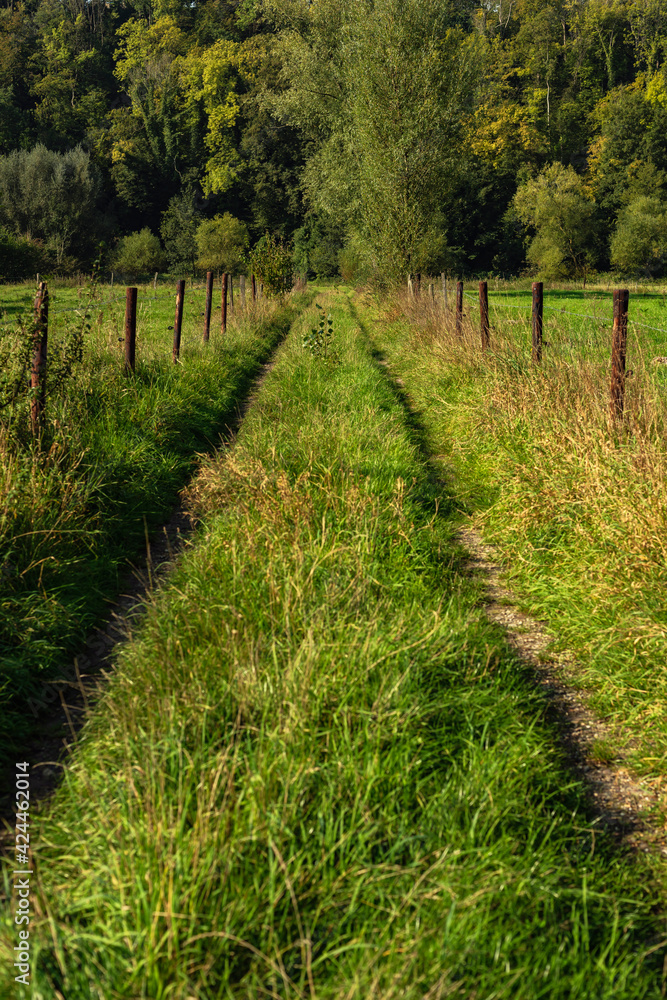 Grassy path with fence in green lush rural landscape on a sunny summer's day.
