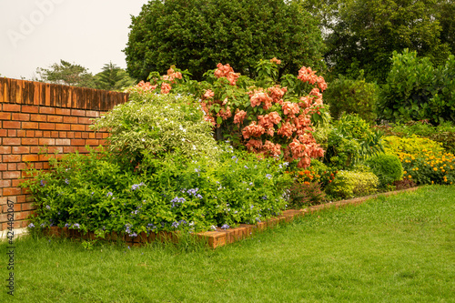 Back - front yard English cottage garden, green grass lawn, colorful flowering plant