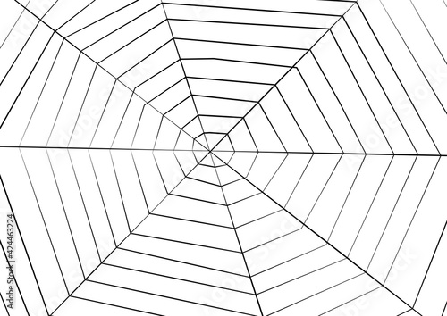 Big Spider web background for halloween, vector