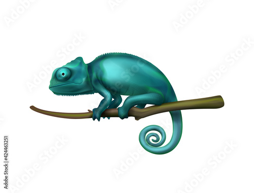 Chameleon Realistic Illustration