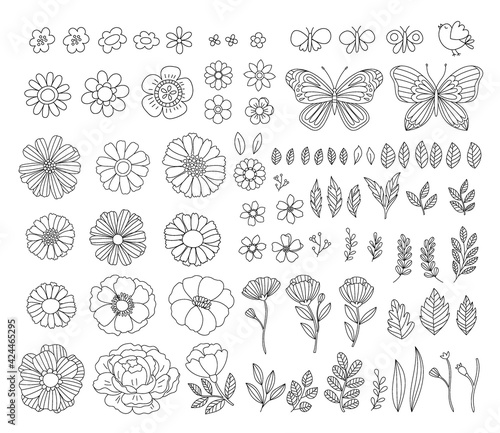 Vector hand-drawn spring design elements. Vintage rustic floral illustrations. Branches, leaves, flowers, butterflies, birds.