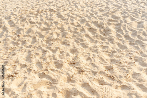 Sand on the beach as background. Light beige sea sand texture pattern, sandy beach background. © Lifestyle Graphic