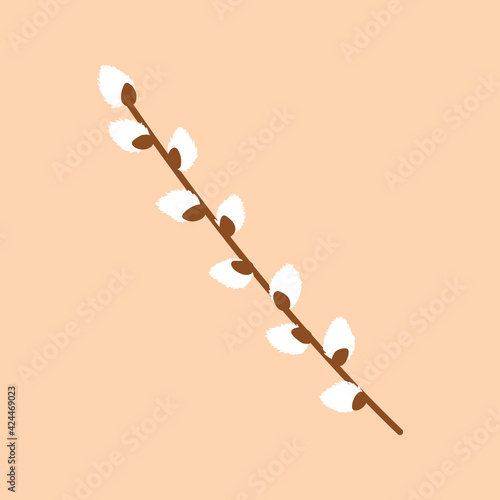 Willow twig isolated on a delicate colored background. Easter fluffy willow. Design for Easter, postcards, packages, sticker, icon. Vector illustration in a flat style.