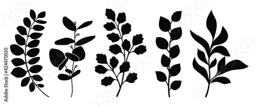 Set of leaves silhouette of beautiful plants, leaves, plant design. Vector illustration .	
