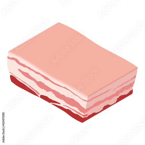 Raw pork belly with skin isolated on white background, isometric view