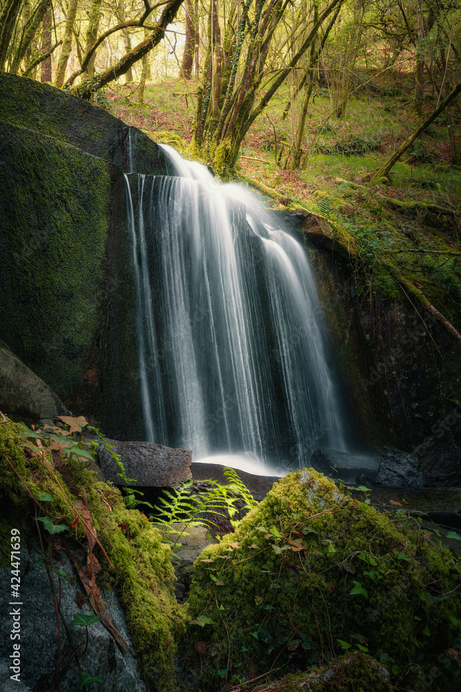 Obraz premium LIGHT IN THE WATERFALL