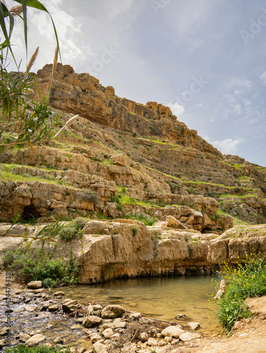 Prat Brook in the Judea Desert, Israel photo