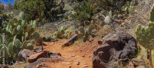 airport mesa trail in Sedona Arizona  photo