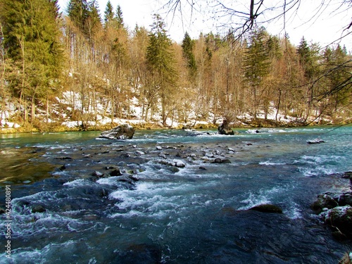 Sava river with forest covering the banks in winter in Gorenjska, Slovenia