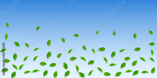 Falling green leaves. Fresh tea random leaves flyi