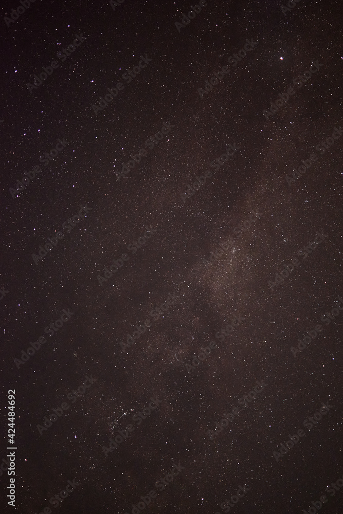 Obraz premium Alerce Nocturno