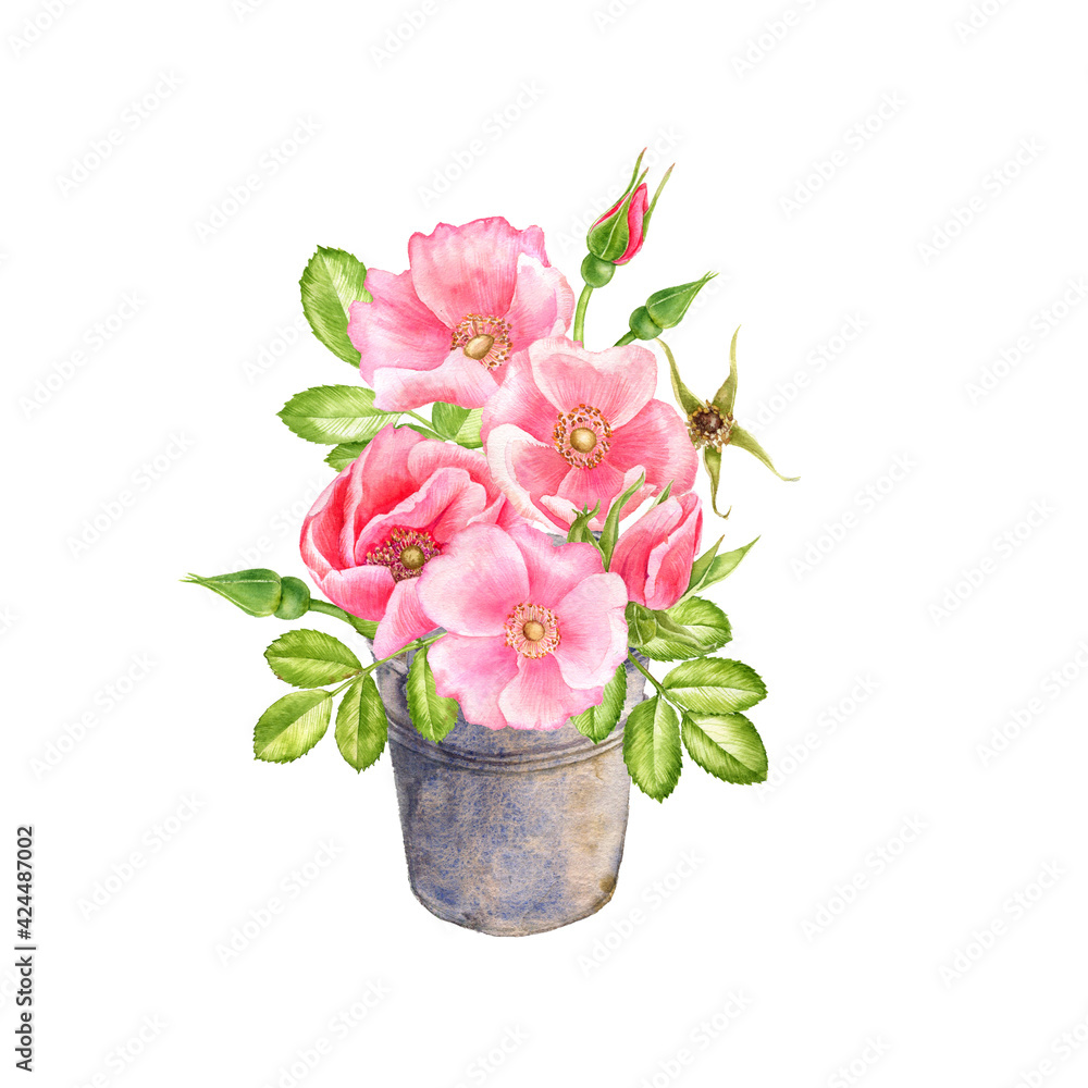 watercolor drawing flowers watercolor drawing flowers