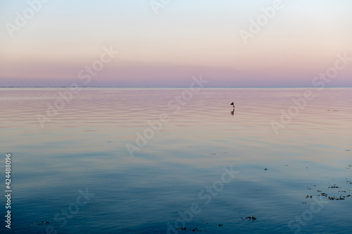 Smooth water surface to the horizon in soft dawn light with blue and orange colors. © Anna