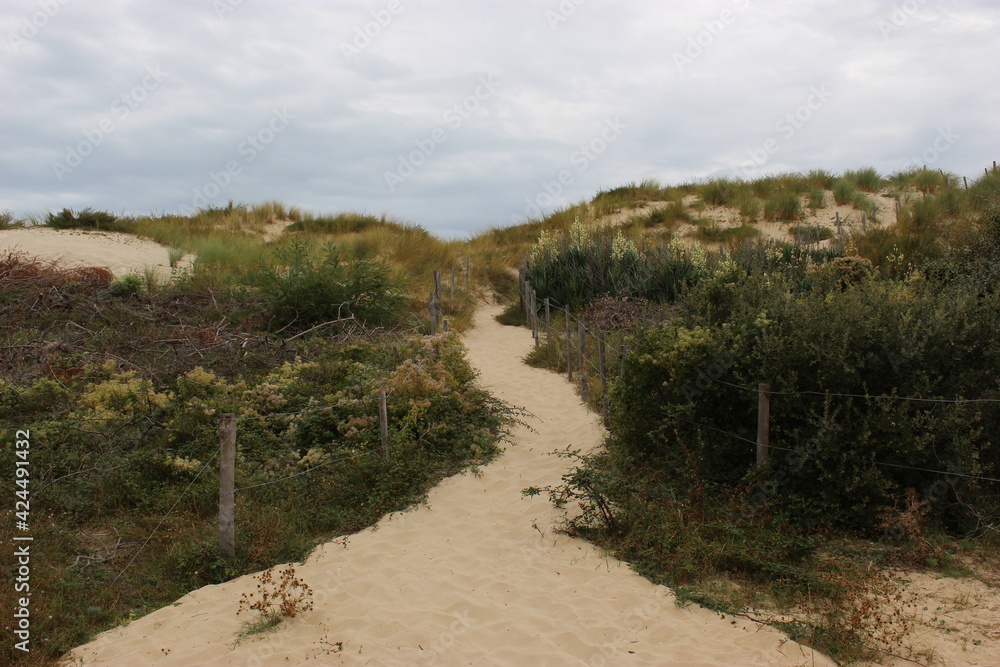 Le Verdon-sur-Mer : sentier dans les dunes