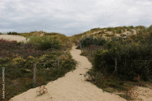 Le Verdon-sur-Mer : sentier dans les dunes