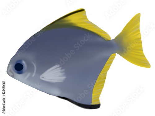 Cartoon realistic fish clip art