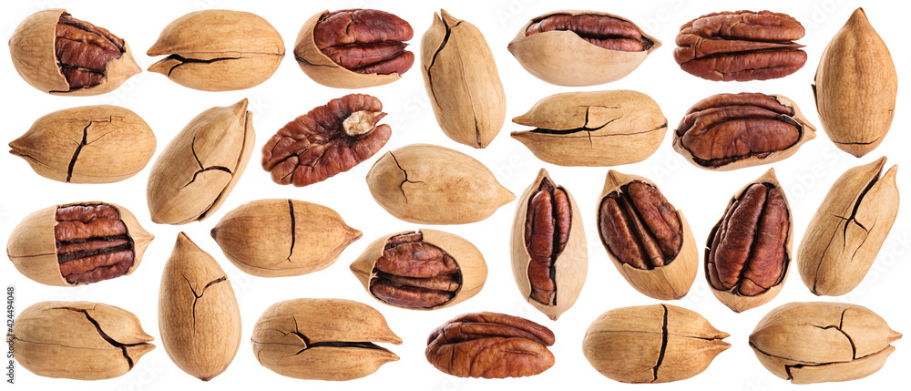 Pecan nuts isolated on white background.