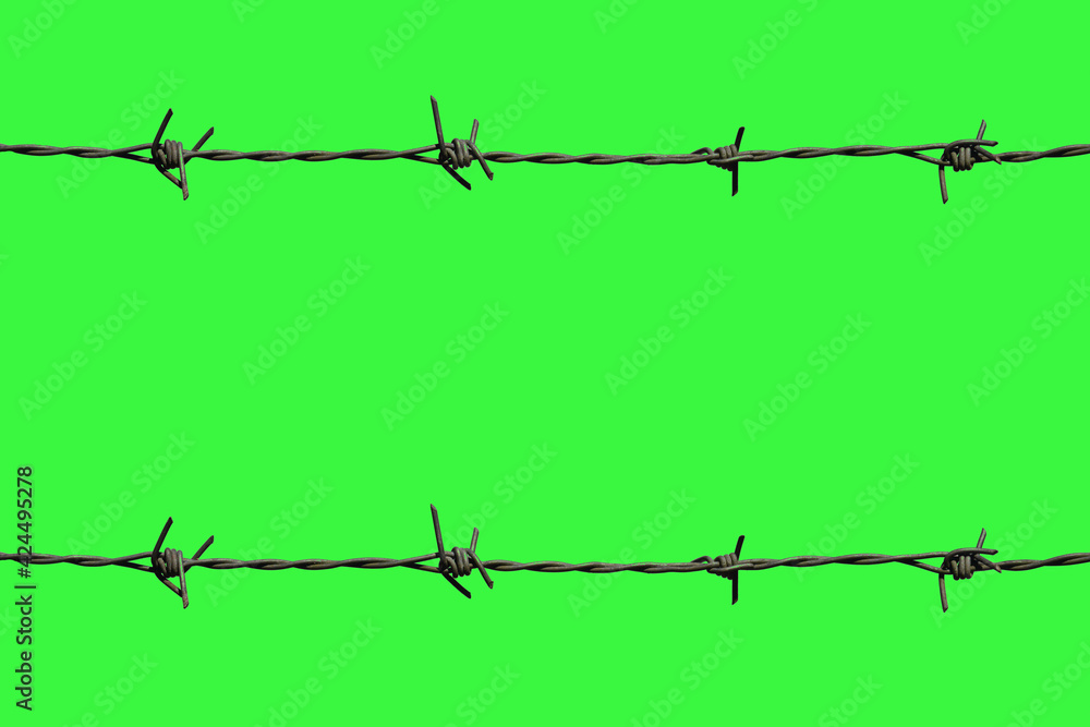 Barbed wire on green background for a retouching project. Stock Photo