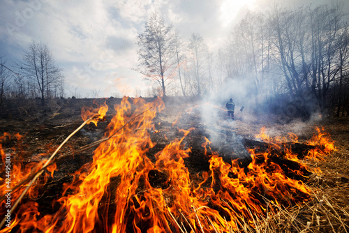 Obraz na płótnie Firefighters are fighting fire. w salonie