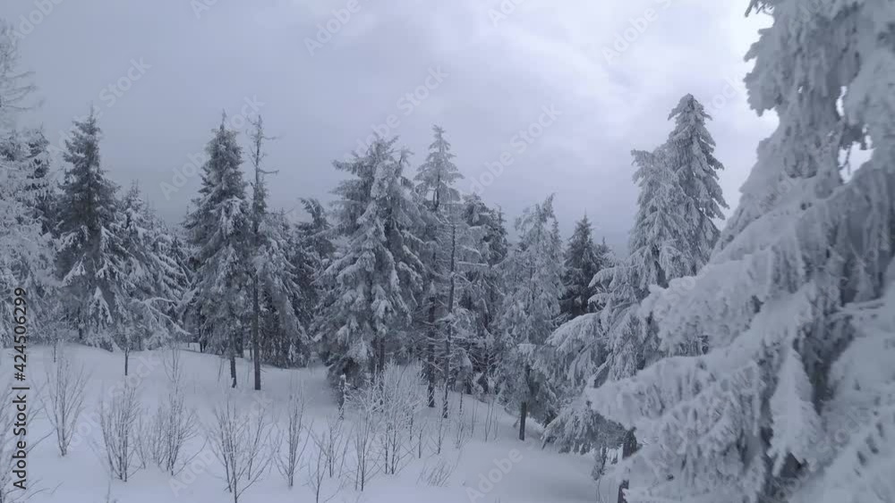 Aerial view of a fabulous winter mountain landscape close-up. Fast and maneuverable flight between snow-covered trees. Filmed on FPV drone. Aerial view of a fabulous winter mountain landscape close-up. Fast and maneuverable flight between snow-covered trees. Filmed on FPV drone.