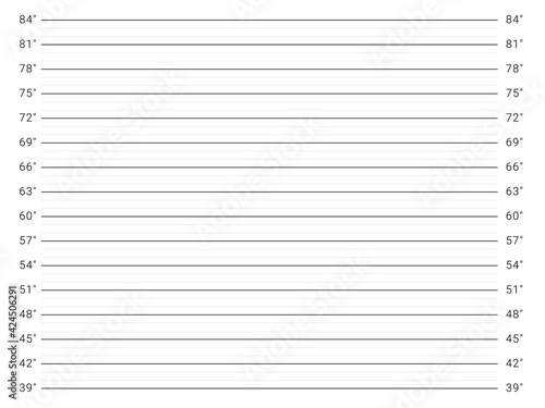 Police mugshot mugshot. Mug shot template. Identity parade background.