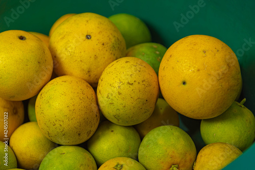 Group of oranges for juice on the green background