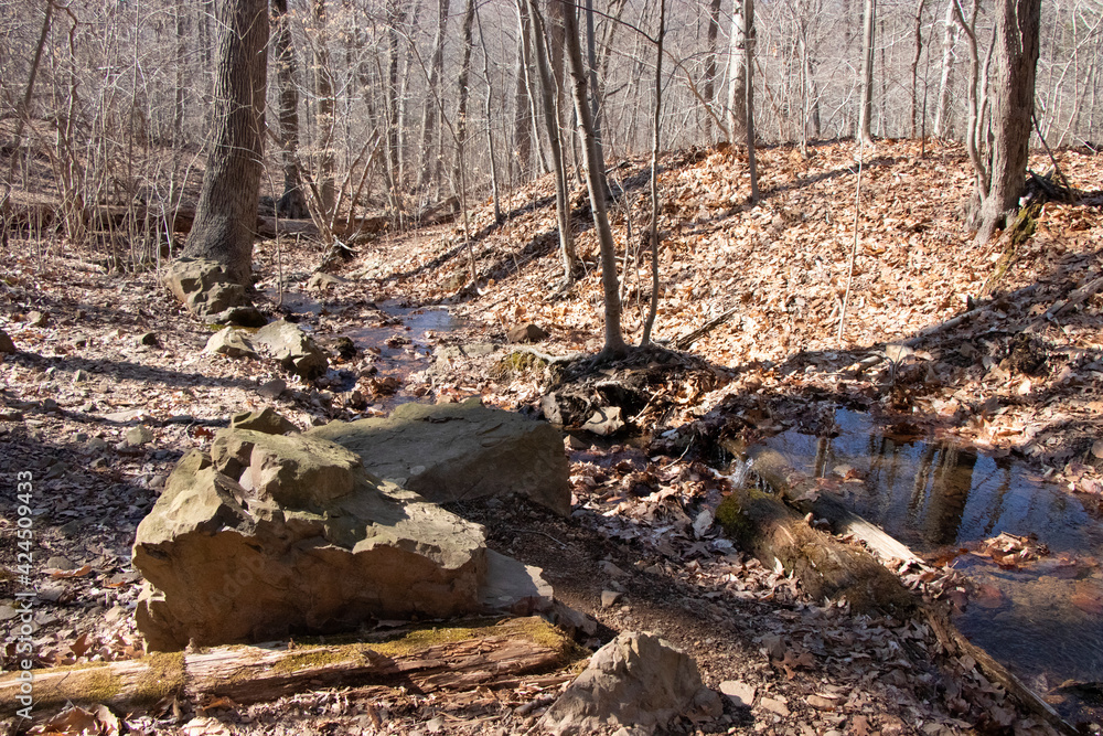 Watchung Reservation New jersey Watchung Reservation New jersey