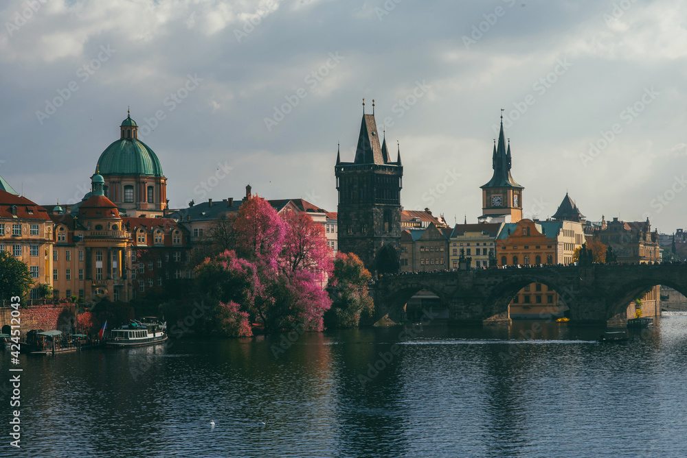 beautiful view of the Charles Bridge in the spring from the side