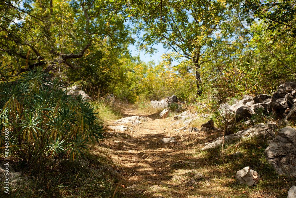 Path in the scenic Croatian countryside