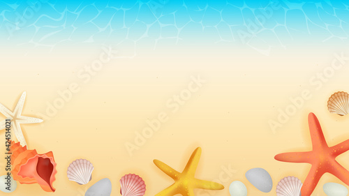 Summer Sea Beach Background vector illustration. Beautiful beach and seashells with copy space