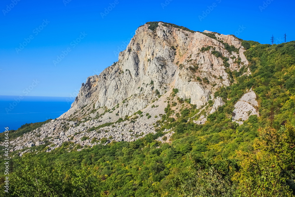 Forest covered plateau in summer. The blue sea can be seen far below. Crimea