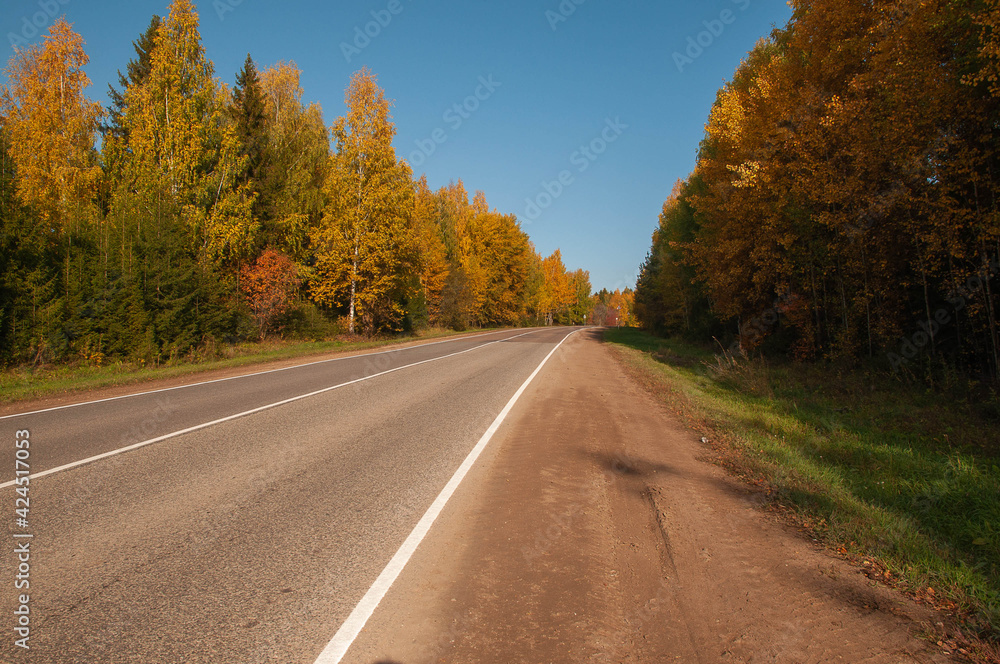 straight road, highway along trees with yellow foliage on a Sunny day straight road, highway along trees with yellow foliage on a Sunny day