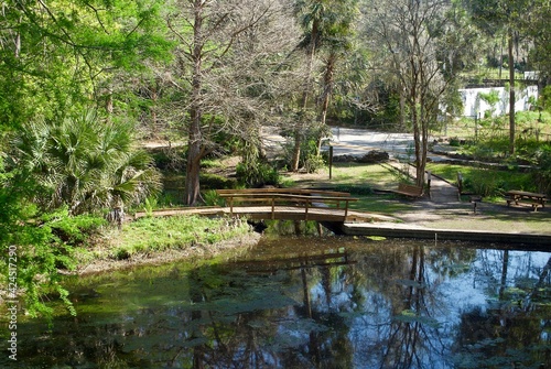 Ravine Gardens State Park, a Florida State Park in Palatka, Florida. Picnic areas, gardens, hiking trails, bridge and pond.  photo