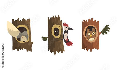 Cute Animals and Birds Living in Tree Hollows Set, Owl, Woodpecker Peeking Out of Hollow Cartoon Vector Illustration